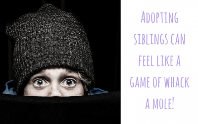 Adopting a sibling group can feel like an endless game of whack a mole!