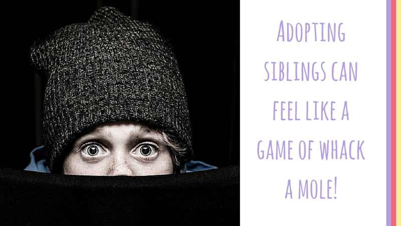 Adopting a sibling group can feel like an endless game of whack a mole!